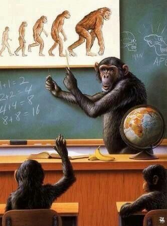 Illustration of chimpanzees in a classroom, with one teaching the theory of human evolution on a chalkboard, reversing the typical human perspective.